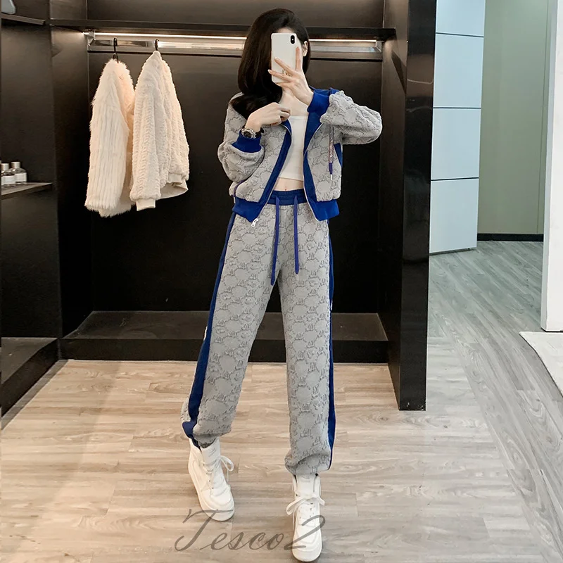 Tesco Autumn Winter New Women's Pant Sets Zip-up Jacket And Trousers Sports Casual Hooded 2 Piece Gray Women's Sports Suit