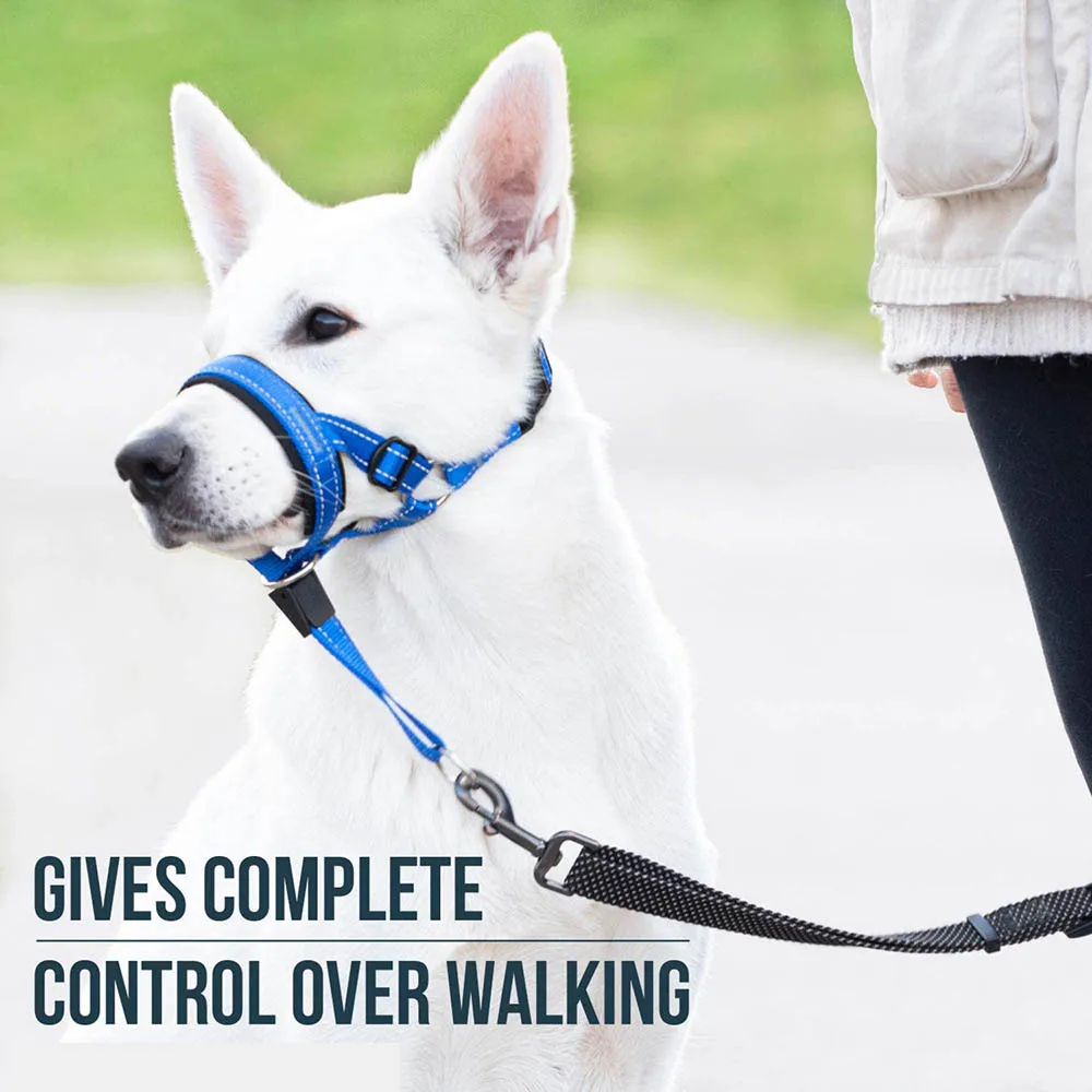 Dog Mouth Muzzles Anti Bark Dog Collar Breathable Training Tool Nylon Muzzle Set With Reflective Strips Pet Leashes