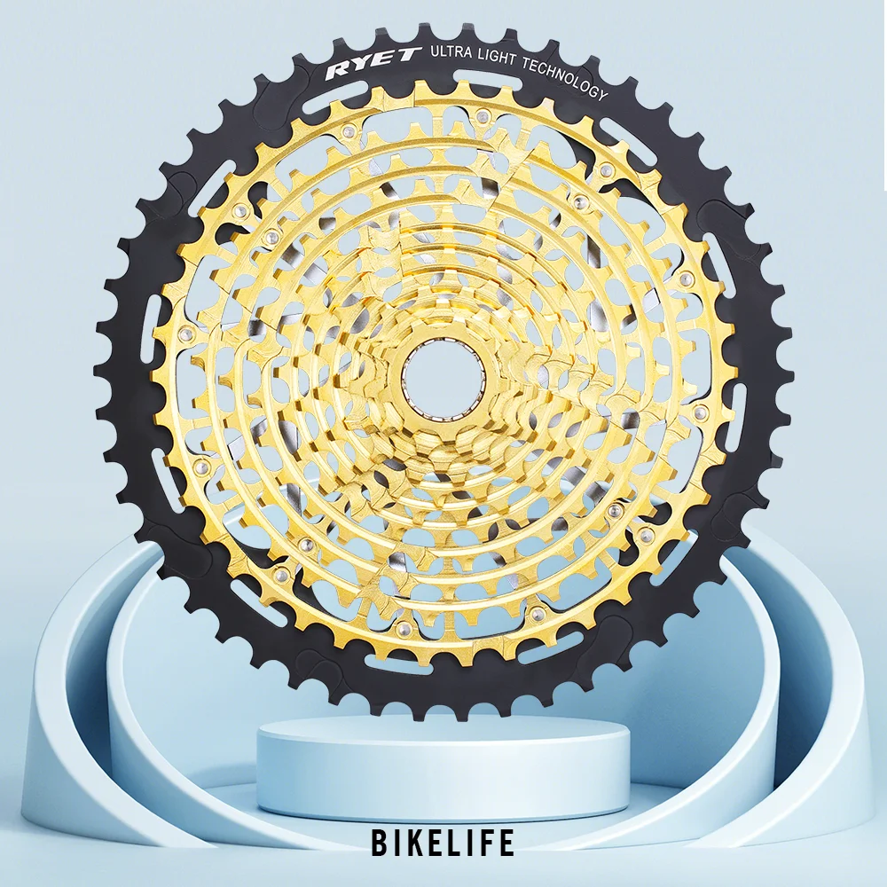 Store Home Products Outdoor Fun Feedback