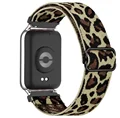 LBrCheetah Silver