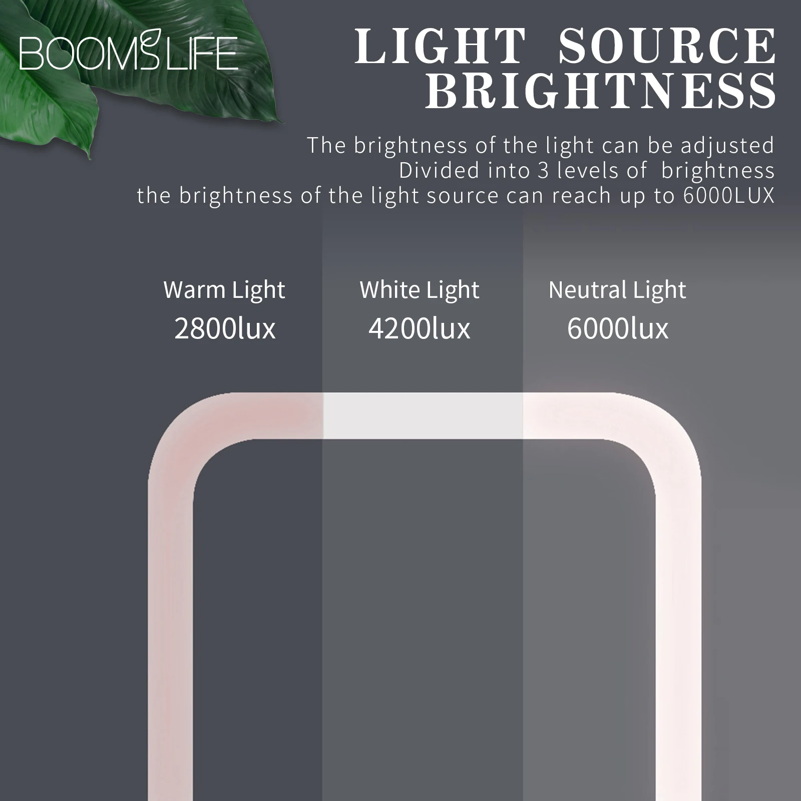 LED Makeup Mirror Image 3