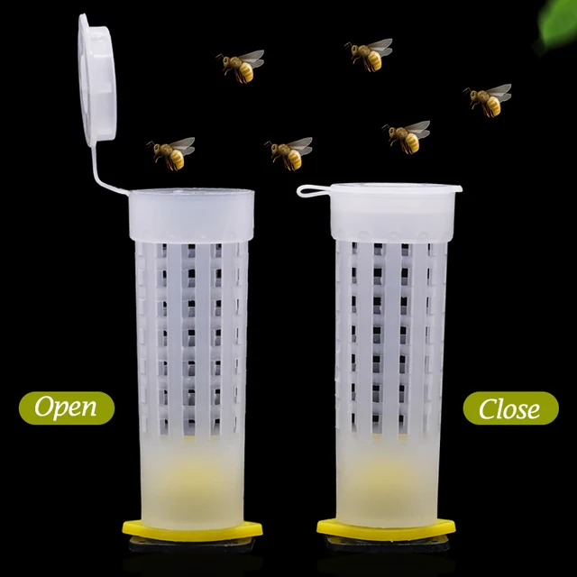 20 Pcs Queen Cage Toing Cover Capter, King Védő Borítója Megakadályozza A Méh Harapós Ketreceket, Méhészeti Lárva Szerszám - Image 4