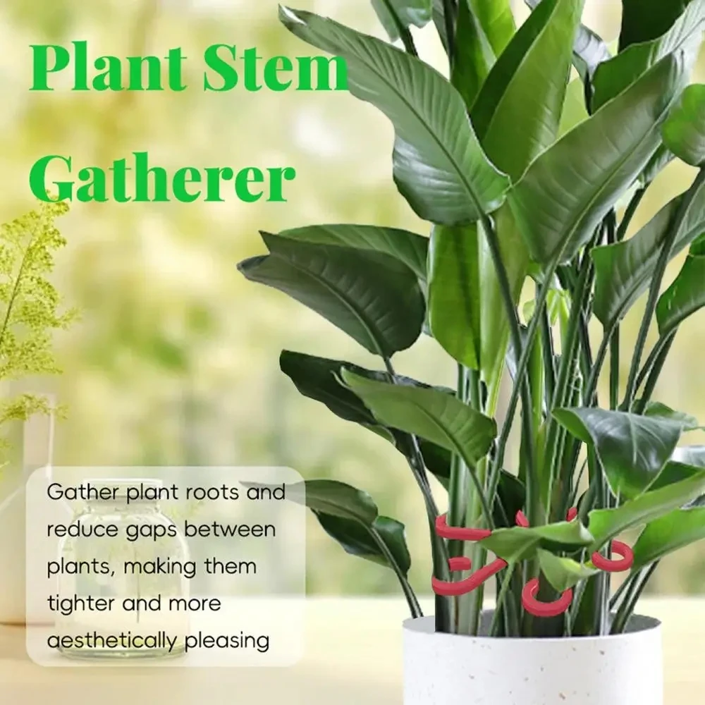 4pcs Climbing Houseplant Stem Supports, Plastic Plant Climbers Stem Holders Reusable Flower Plant Stakes Trellis Stem Hook Growt