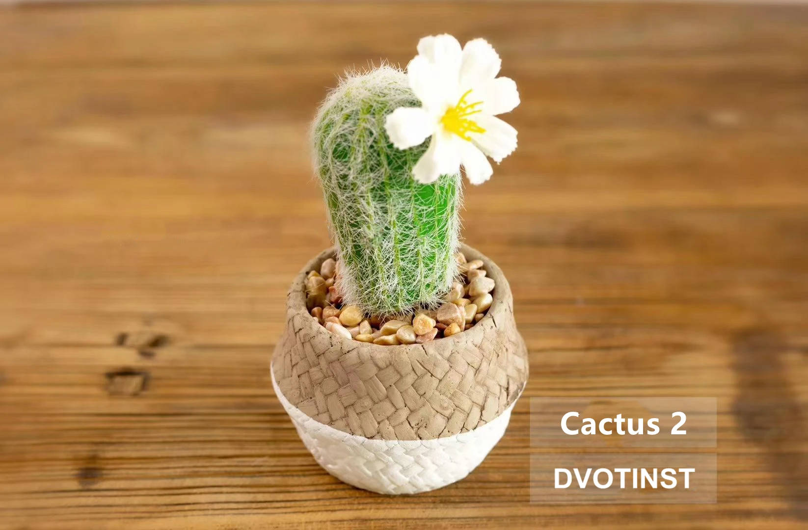 Dvotinst 사진 소품, 레트로 빈티지 미니 크리에이티브 소품, 라이트 라디오 사진 스튜디오 사진 소품 액세서리