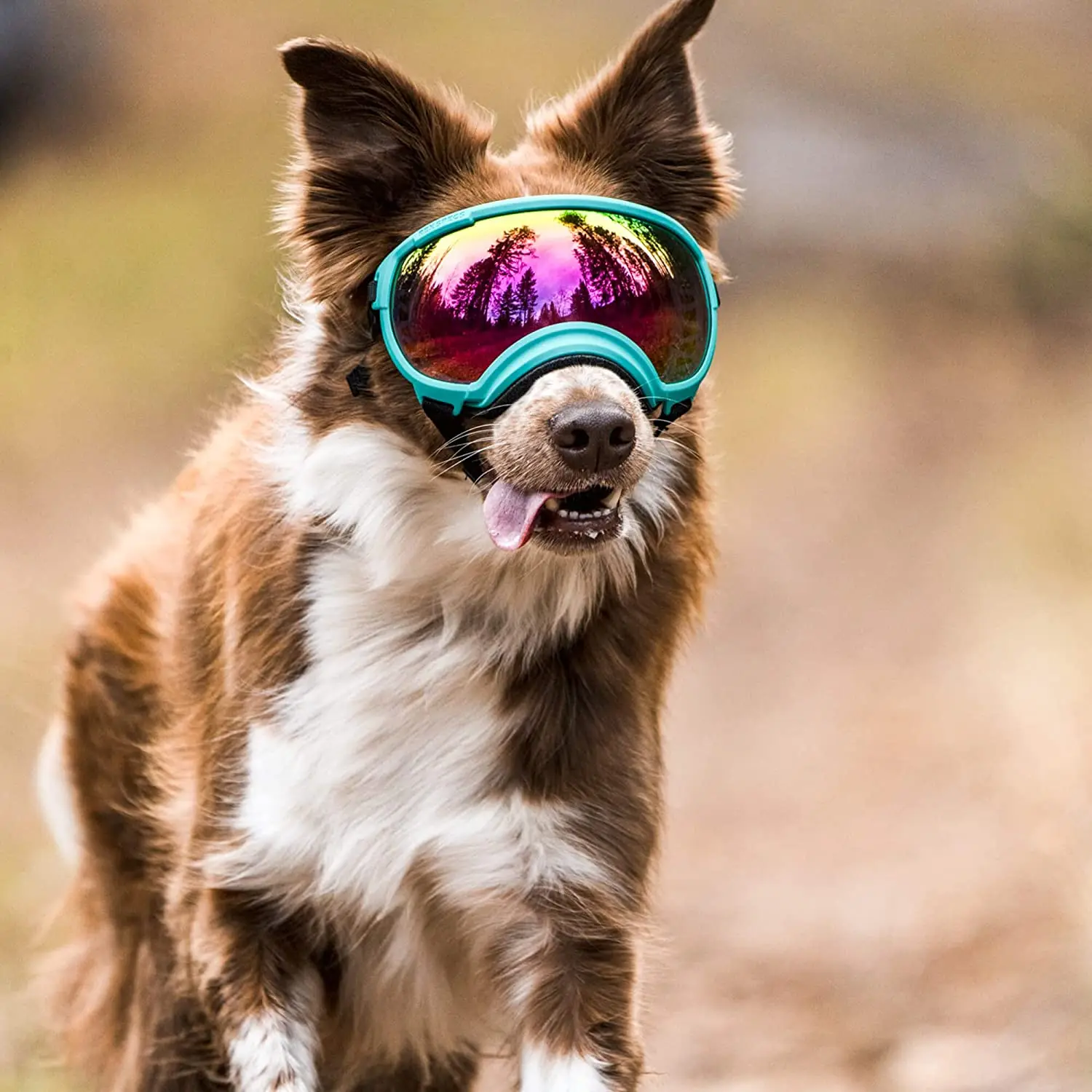 ATUBAN Dog Goggles Anti UV Strong Impact Resistance Adjustable Elastic Puppy Large Breed Dog Goggles Breathable Pet Sunglasses pet sunglasses
