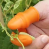Rubber Thumb Knife Vegetable Picking Tools 90 Angel Blade Pepper Bean Harvesting Knife Plant Flower Blade Garden Gloves 2 Sets 4