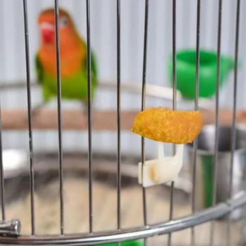 5Pcs Fruit Fork Parrot Pet Bird Plastic Food Holder Feeding on Cage for Hamster Rat 2 Size S/L Fruit Fork Parrot Fruit Fork 3
