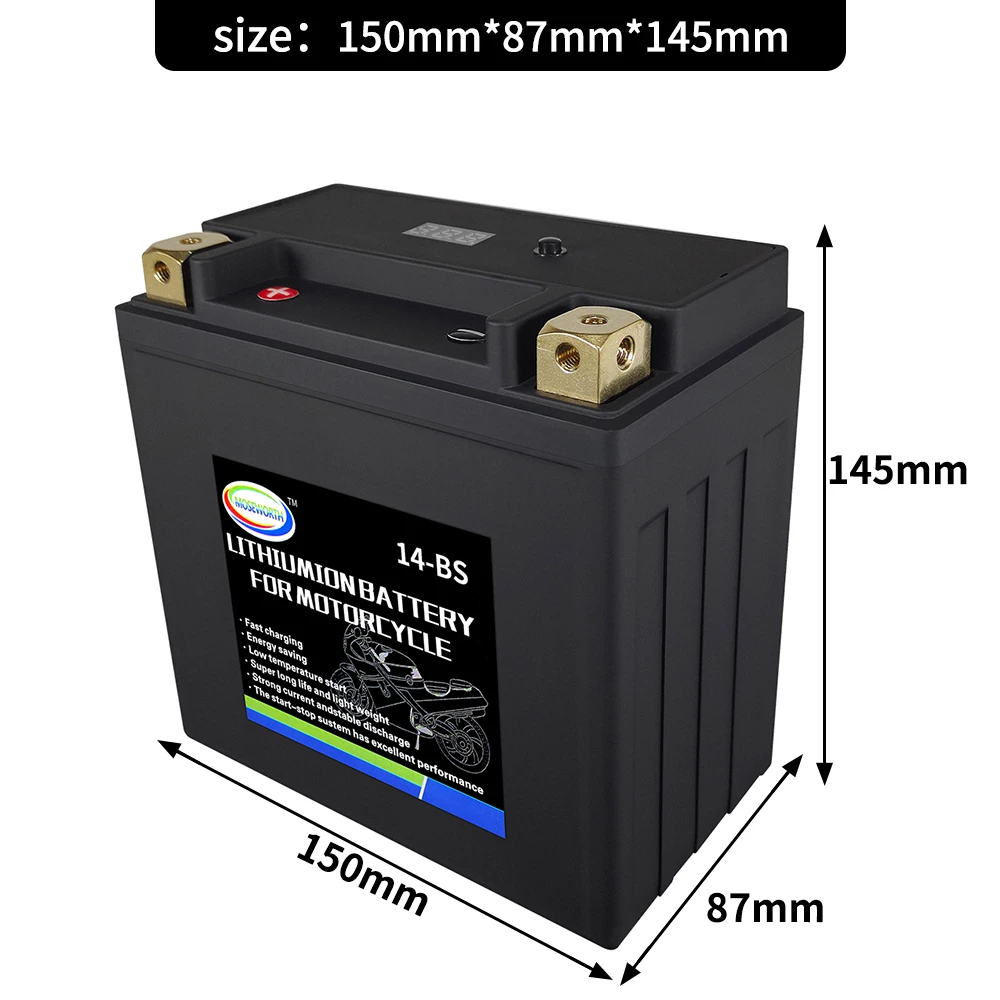 Batería de fosfato de hierro y litio LiFePO4 14 BS, placa de protección de 12V, batería sin mantenimiento para motocicleta, moto de nieve, ATV|Baterías de - AliExpress
