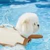 4568-044cf0.jpg Chaleco salvavidas de alta flotabilidad para perros, ajustable, impermeable