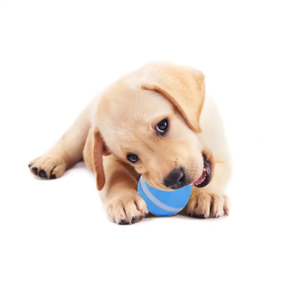 Led Pet Motion Ball