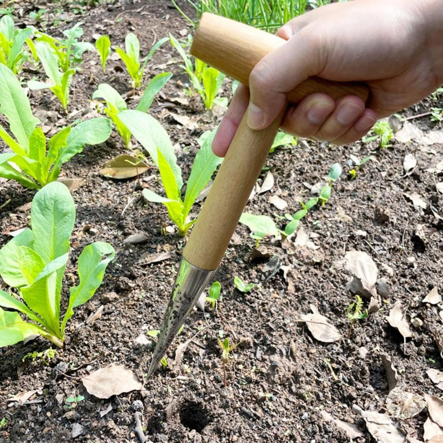 Enhance Your Garden Experience with Superior Quality Premium Garden Tools-Achieve Superior Results Effortlessly-Maximize You
