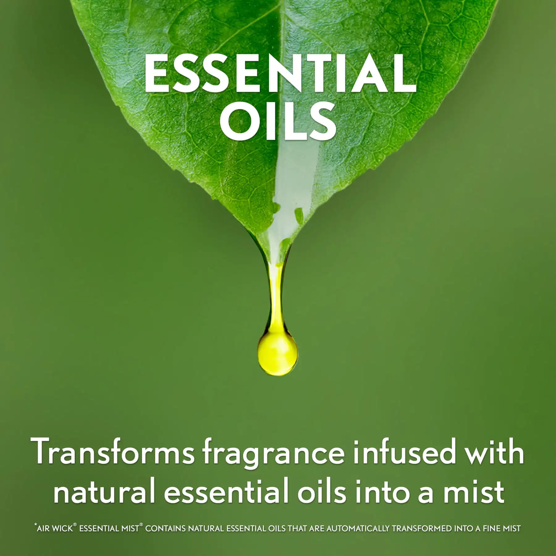 Essential Mist Refill, 3 ct, Sleep,