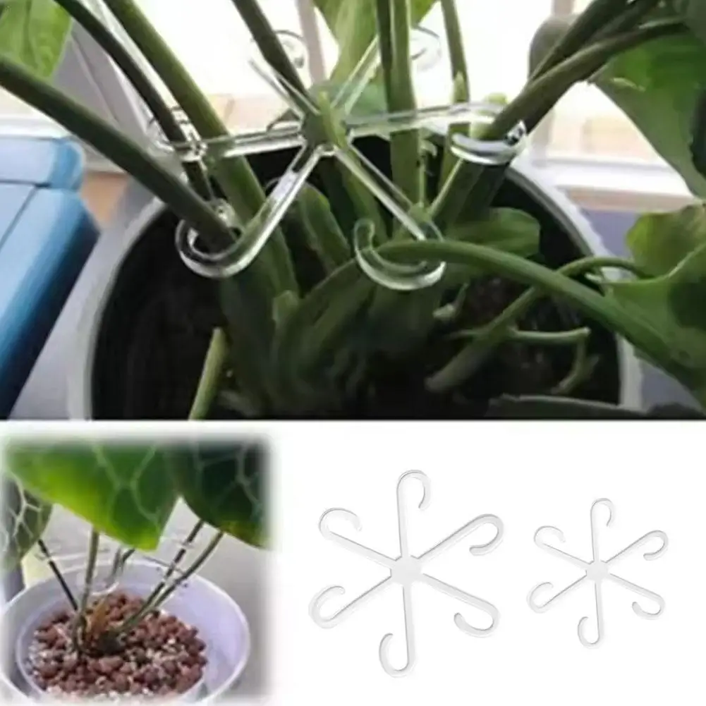 Plant Stem Support Alocasia Monstera Leaf Support Vine Clips For Climbing Plants To Grow Upright And Make Healthier plant stem support