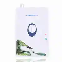 Ozone Generator Ozonator Air Purifiers 600mg/h Oil Vegetable Meat Purify Air Water House 1