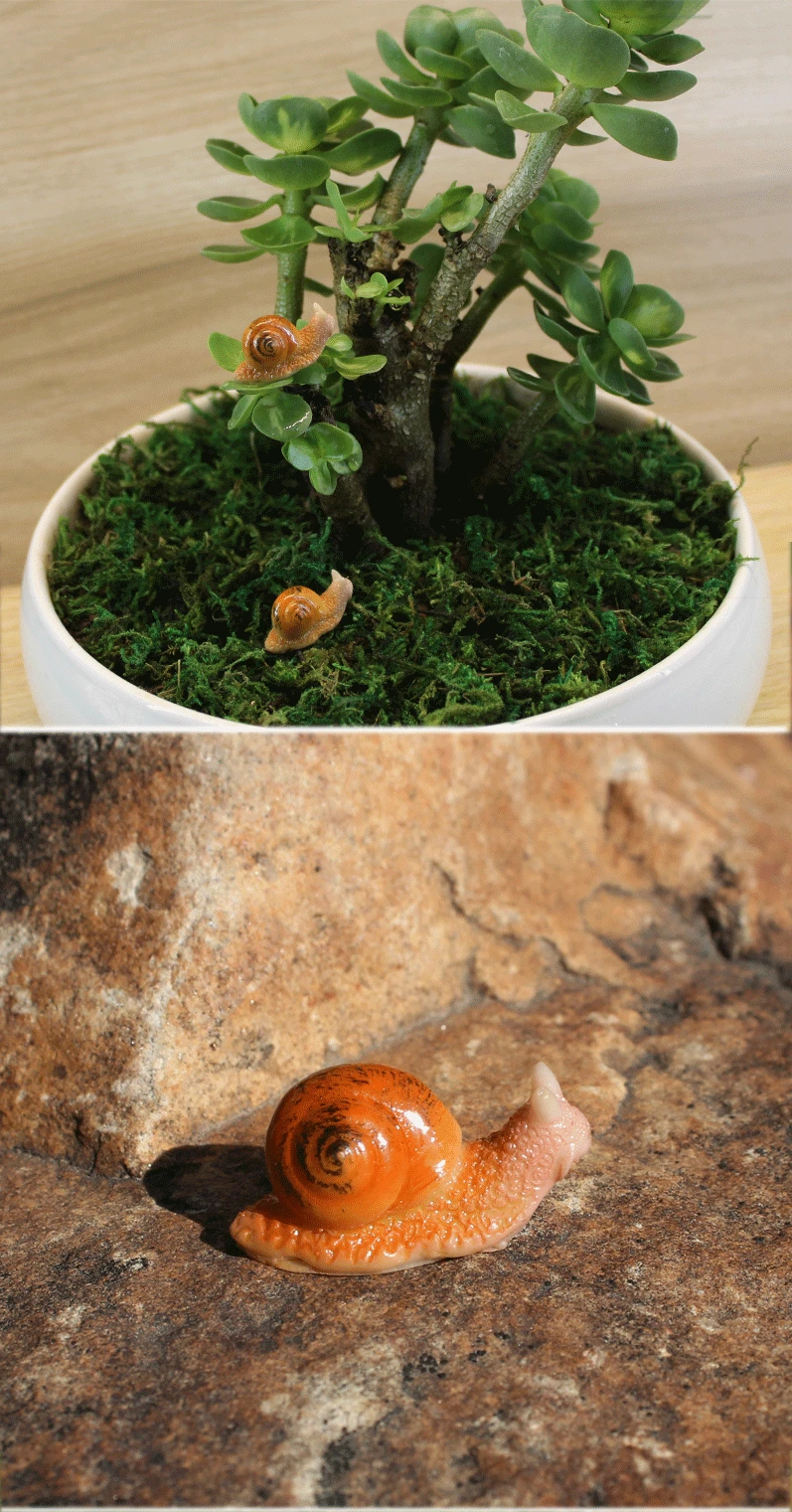 Description Picture 2 of itemMicro Landscape Simulation Small Snail Small Ornament Mini Cute Animal Resin Crafts Garden Decoration Accessories Miniatures