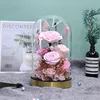 15*30cm Light Wire Lumious Metal Base Glass Dome Vase Home Decoration Transparent Cover DIY Friend Gift Wedding Live Prop 2