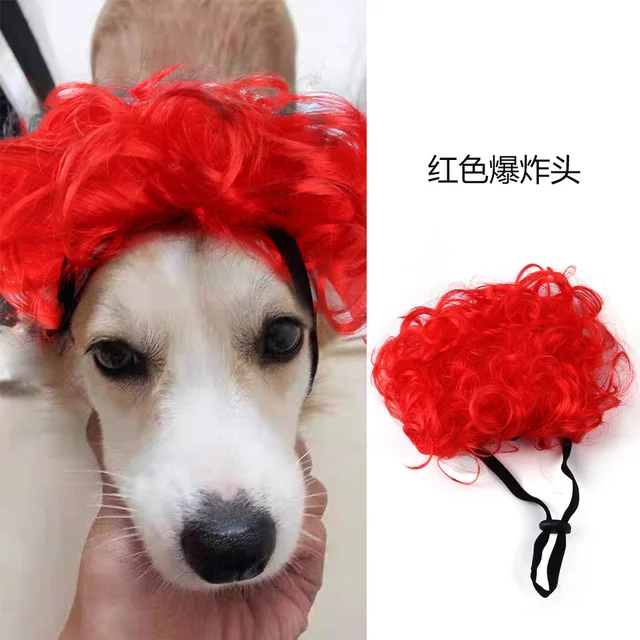 Pets Dogs Accessories | Dog Photo Props | Halloween Pet | Pet Supplies |  Wigs Dogs - Pet Dog - Aliexpress