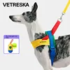 Dog Rope Collar Drag Harness for Dogs Multifunctional Tow Leash Big Medium Small Pet Leash Dog Pet Walks Drag Harness and Collar 1