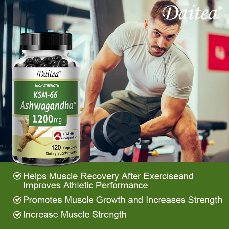 Ashwagandha Helps with Post-workout Recovery Improves Athletic Performance Promotes Muscle Growth and Increases Strength ashwagandha supplement