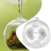 Brand New Garden Glass Ball Hanging Plant Vase Wedding Container Decoration Flat Bottom Flower Indoor Succulent 5