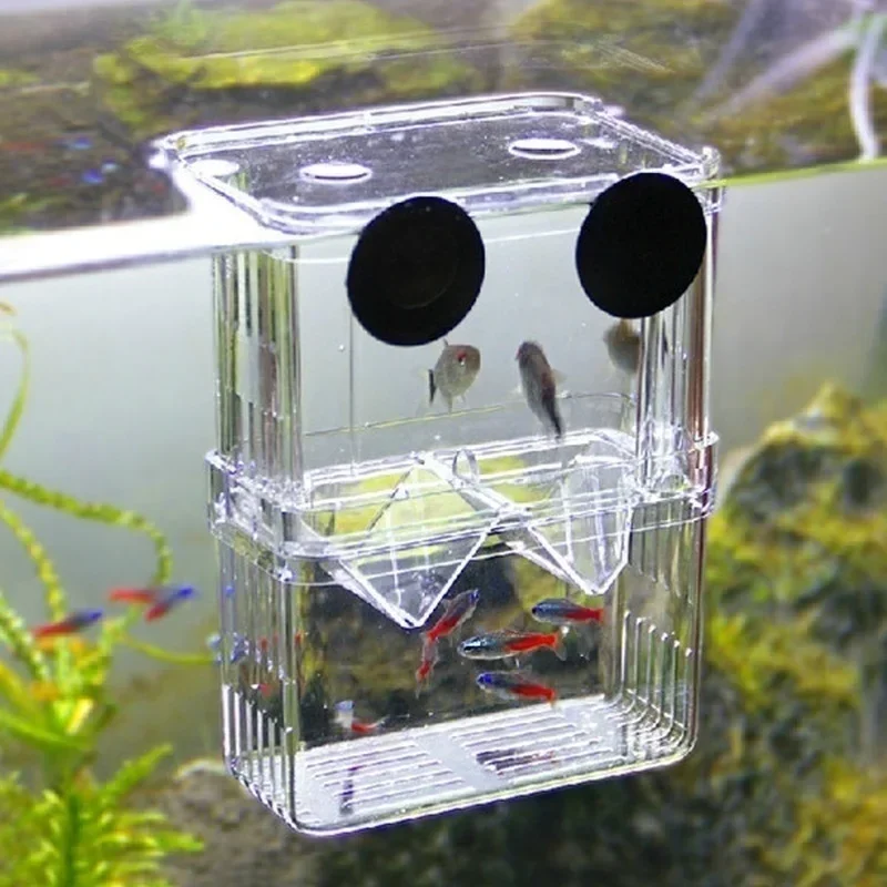 Multifu Fish Aquarium High Clear Breeding Isolation Box Pet Supplies Breeder Tank Double Guppies Hatching Incubator Pet Products fish aquarium fish breeding box