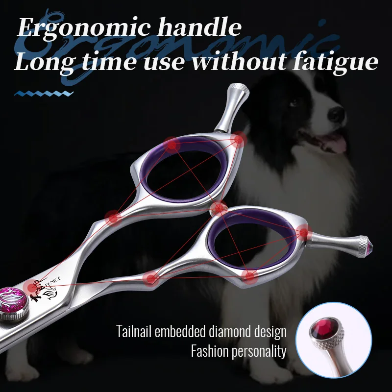 Dog Grooming Scissors Set Fenice Professional 7.0/7.5/8.0 inch