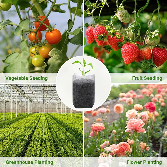 100Db Biológiailag Lebontható Növénytáskák Nem Szőtt Palánták Kerti Vetőmag -Indítókhoz Tasakok Transzplantációs Edények Növényekhez Virágok Virágokhoz - Image 6