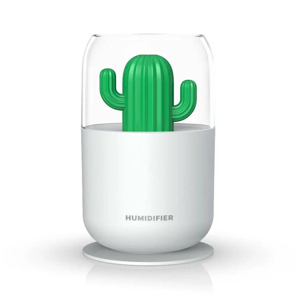 Humidificateur radiateur design - Cactus