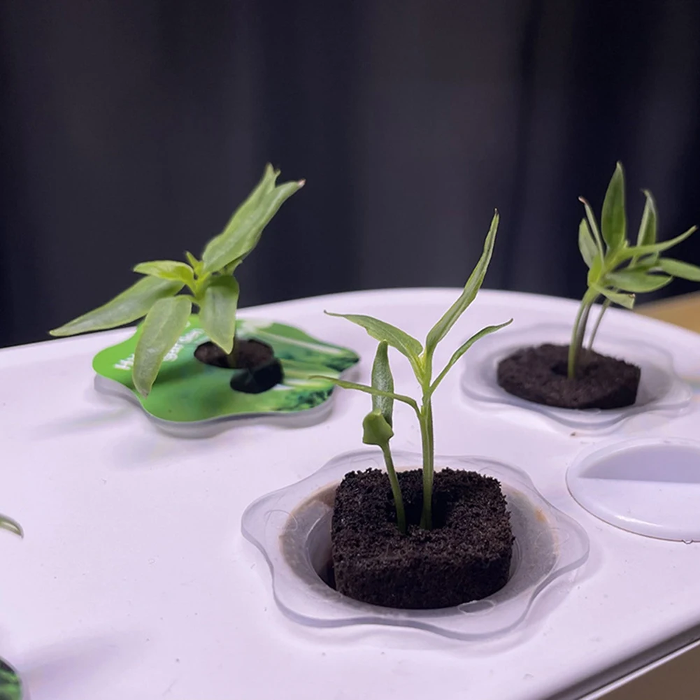 50Pcs Seed Grow Sponges Replacement Root Growth Sponges Seedling Starter Plugs Seed Starting Seed Pod Hydroponic Garden Planting