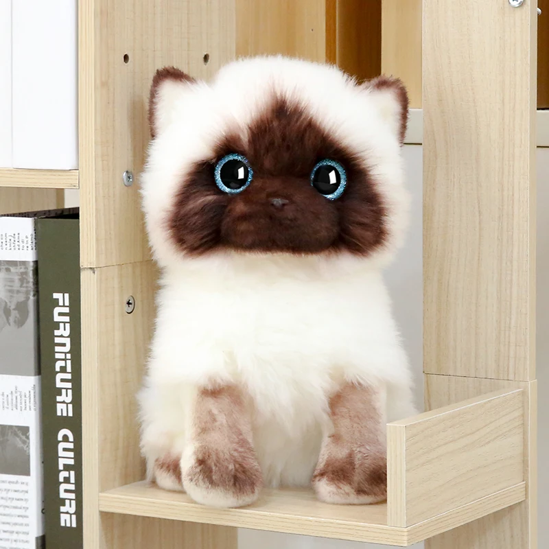 

Кавайная модель Кота сиамского цвета 20/26 см, плюшевая игрушка, синие глаза с блестками, куклы, кошки с коричневым и белым лицом, домашний декор, милый подарок для ребенка
