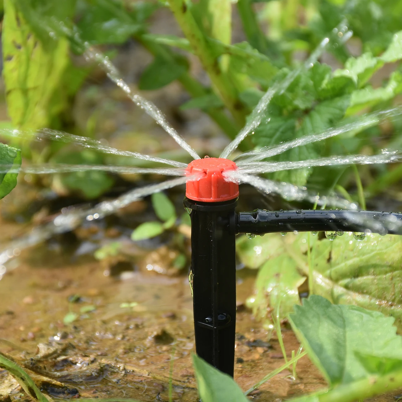 KESLA 5M-50M Automatic Watering Drip Irrigation System Garden Hose DIY Micro Drip Watering Kits w/ Adjustable Sprinkler Dripper - 4