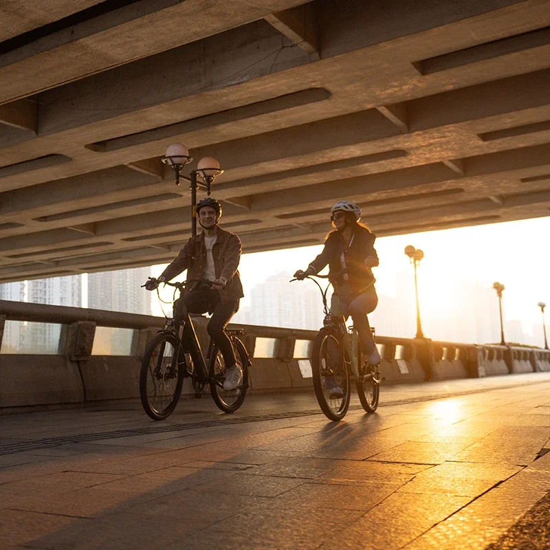 Urban Electric Bike V80 1000W 48V 13AH 7 speed Aluminum alloy 26 inches Removable battery Maximum speed 45km/h Family E-bike