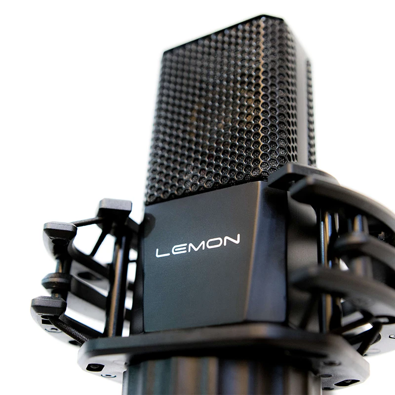 Lgt240 вокальный конденсаторный микрофон для пения большой ударной пленки Высокочувствительный емкостный микрофон