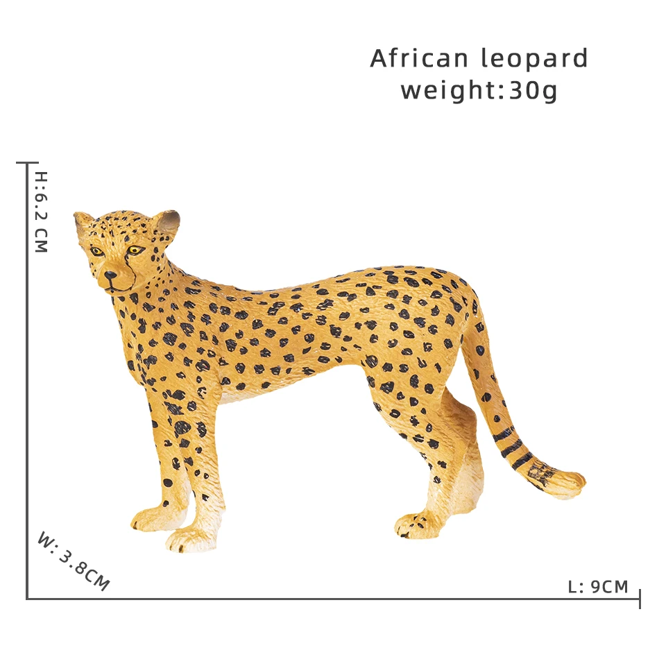 African leopard
