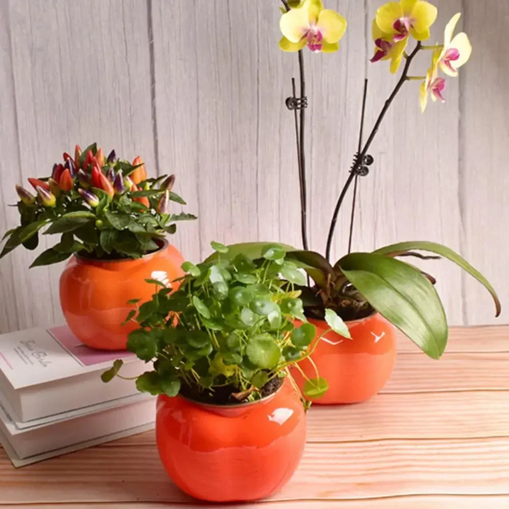 Description Picture 5 of itemHydroponic Plants Pot Self Watering Flowerpot Indoor Mini Succulent Planter Tabletop Vase Self-watering Home Office Bonsai Decor