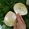 2PCS Natural Yellow Pearl Oyster Shell Dish Polished Shell Handmade Creative DIY Jewelry Beads Decorative Caviar Container 1