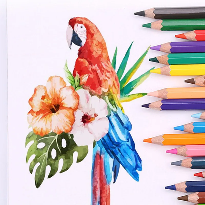 ������ �� ���� ���� 12/24/36/48 �÷� ���� ���� ���̽� 2023 �б� ���� ��ǰ ��� ����� ��Ʈ �÷� ũ����