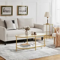 Coffee Table Oval Gold Glass 2-Tier Coffee Table, 42-Inch,   With Storage Shelves and Metal Frame,Living Room Coffee Table 2