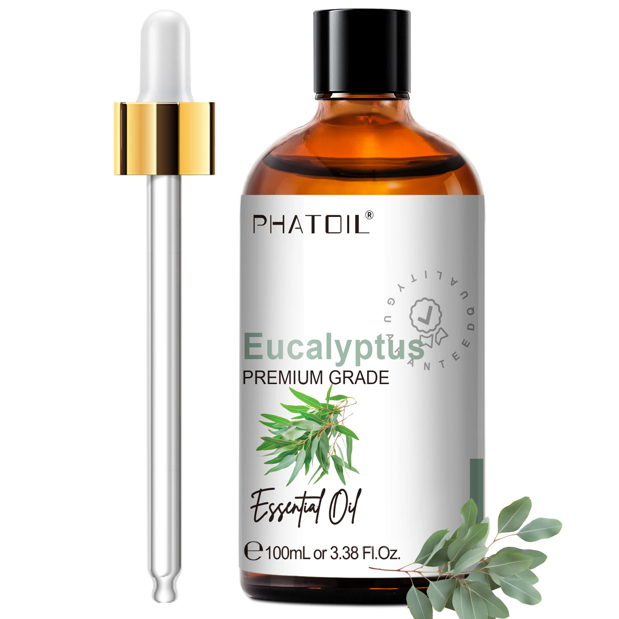 Eucalyptus