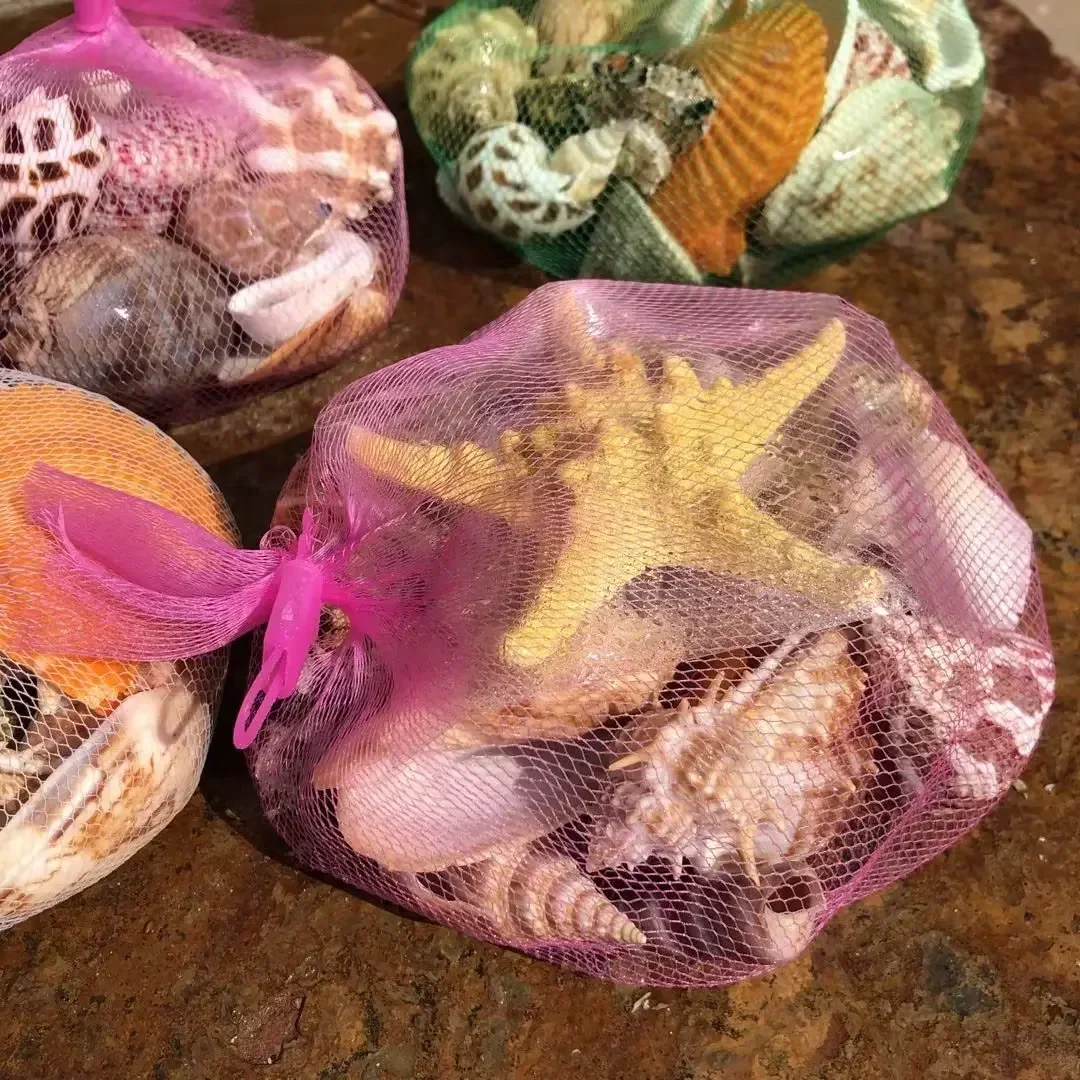 Shell Fish Tank Landscaping Small Conch Shell Handmade
