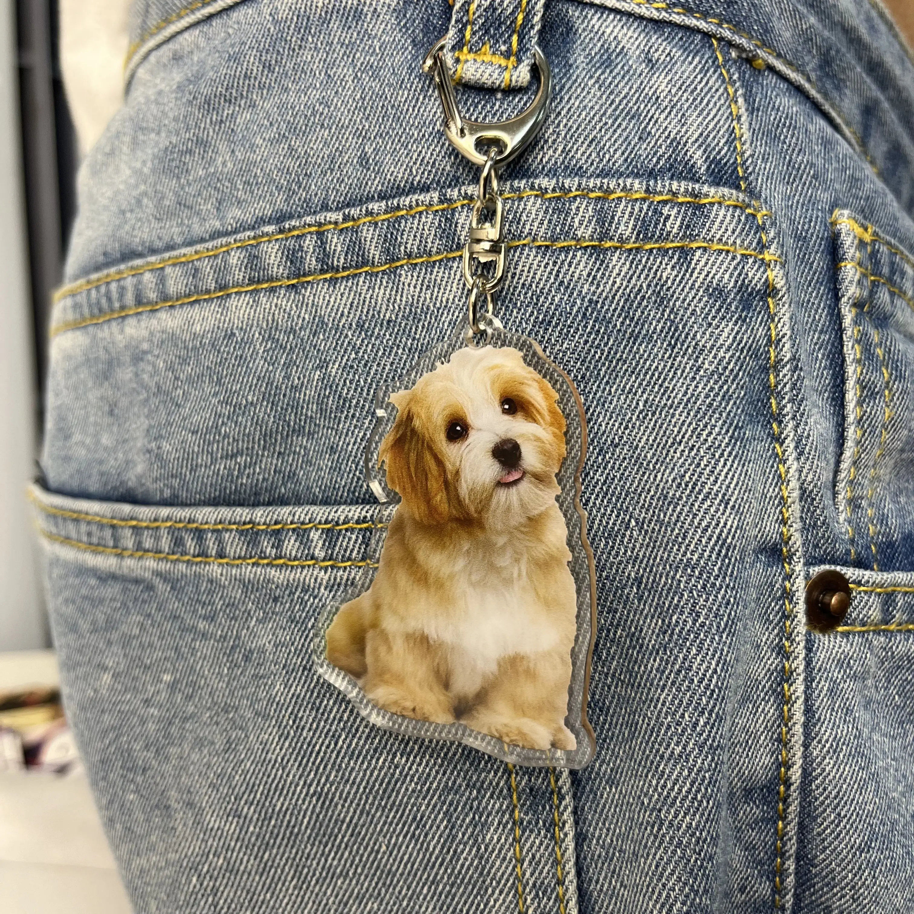 Porte-clés en acrylique avec logo personnalisé, porte-clés d'identification de chien de chat, photo personnelle holographique imprimée, souvenir d'animal de compagnie, cadeau d'anniversaire, étiquette de nom, clé JOO