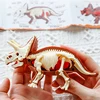Jurassic Dinosaur Fossil excavation kits Education archeology Exquisite Toy Set Action Children Figure Education Gift BabyA9BC00 1