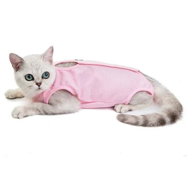 Fashionable Cat Shirt 4
