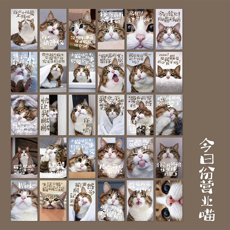 Adorable Pet Go Out Series Postcard Cute Cat Photo Card Greeting Message Cards Student Christmas New Year Gift 30 Sheets/Set