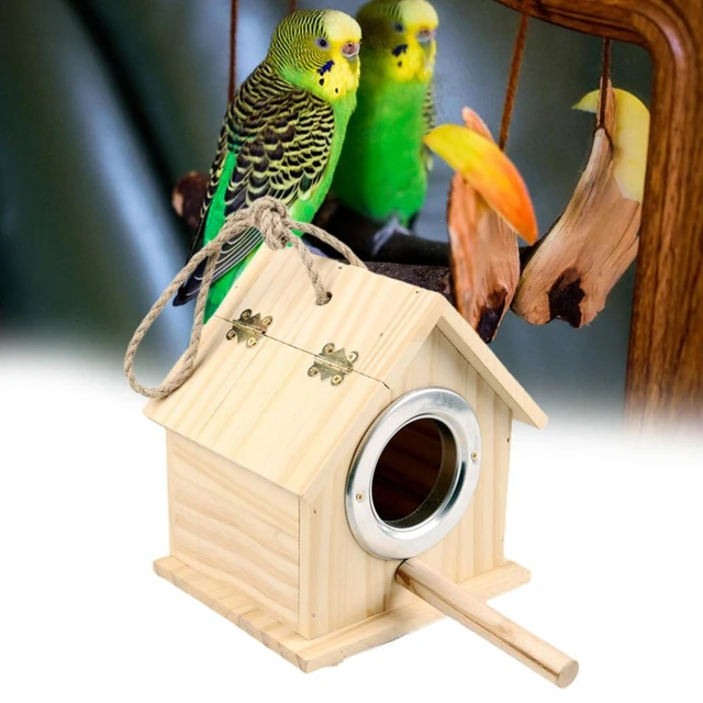 Maison En Bois Pour Colibris, Nid Solide Pour Oiseaux, Décoration