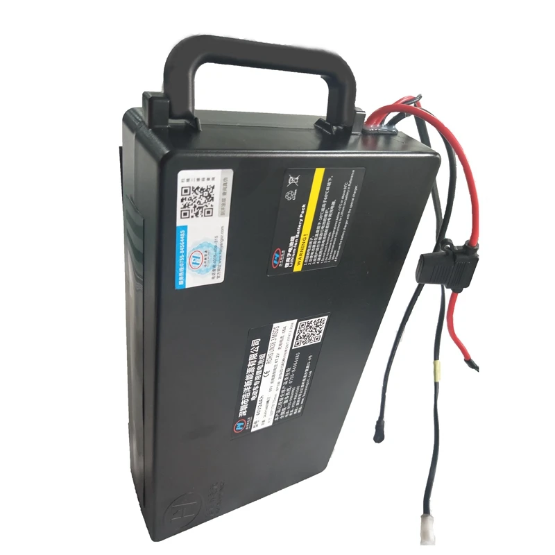 Citycoco 리튬 이온 배터리 팩, 1200wh 60v 세관 및 세금 지불