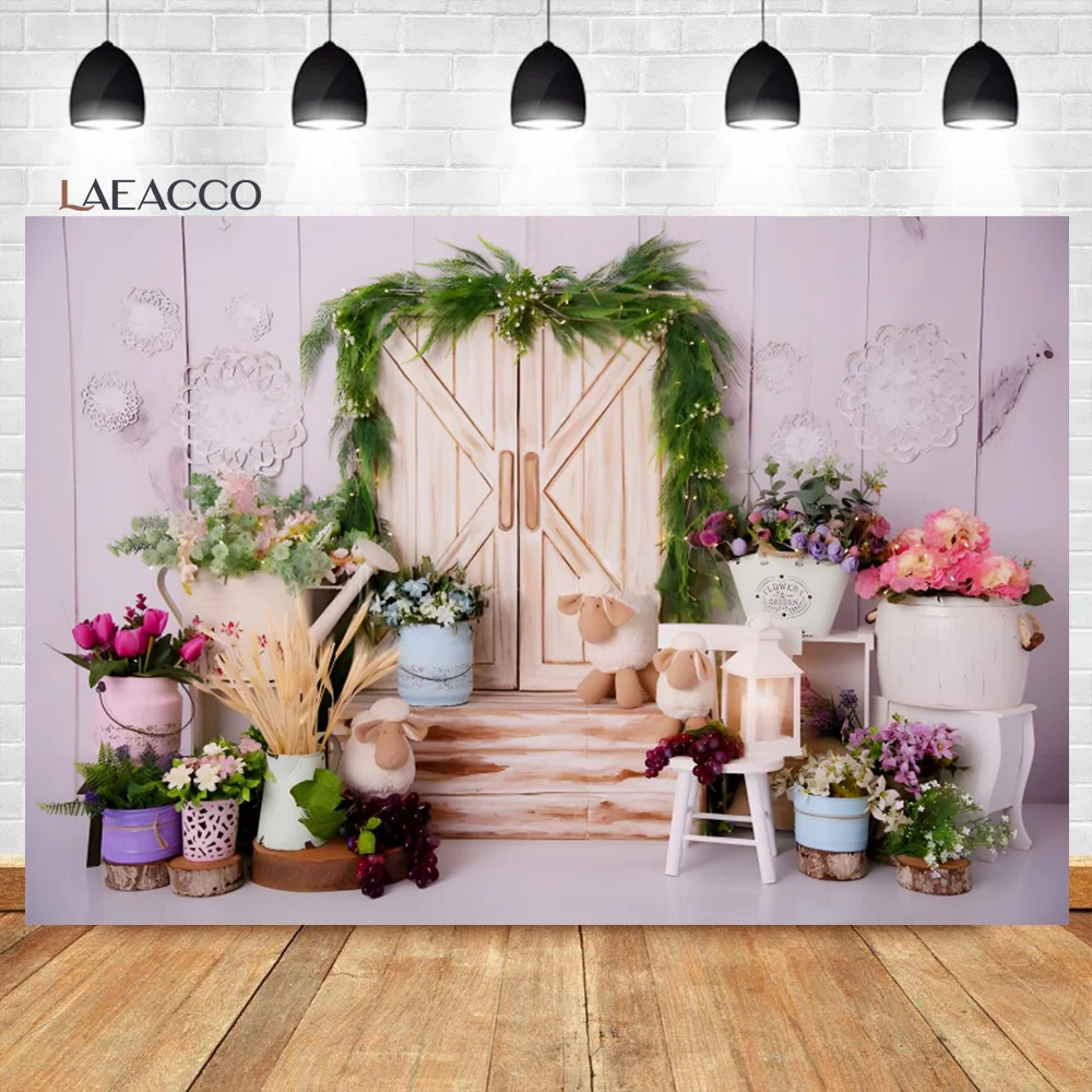 Laeacco  ູ Ȱ  , ҹ     ̺   ʻȭ  