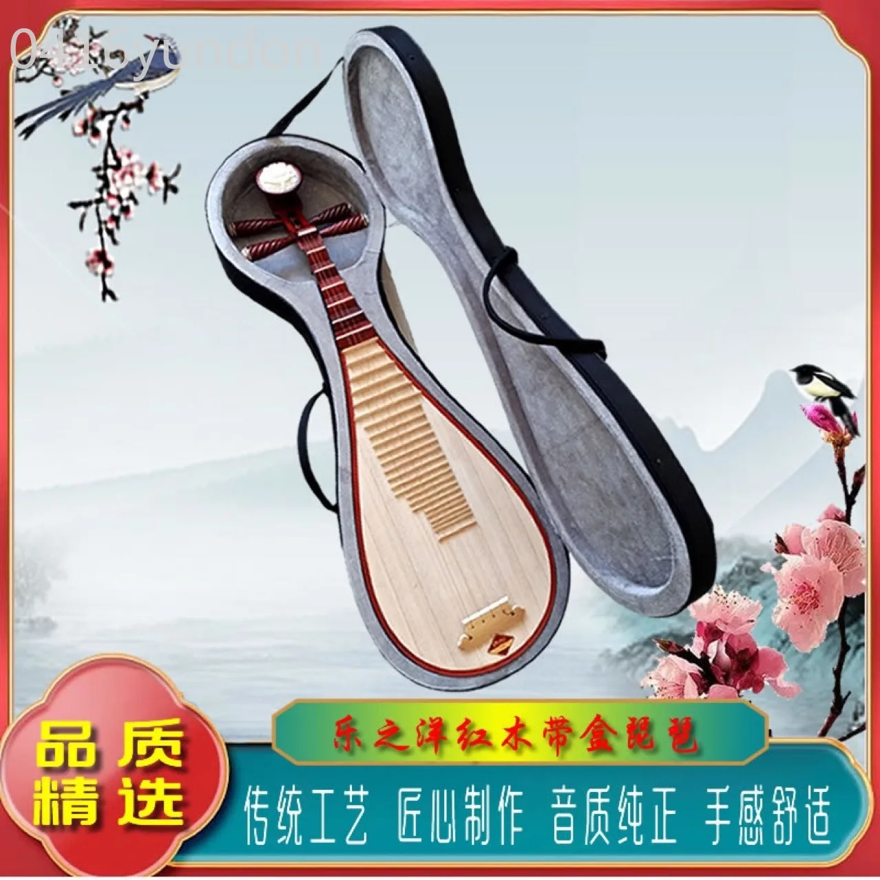 Mahogany Pipa Musical Instrument Adult Pipa Self-study Beginner Entrance Examination Major