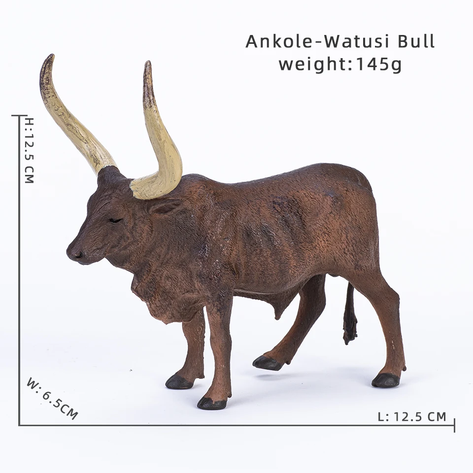 Ankole-Watusi Bull
