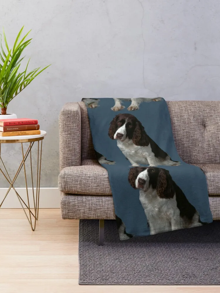 Spaniel Ingles, �� �ٺ� ������ ���, ���� ���� ��� ħ�� ���, ���Ÿ� ����Ʈ ���, ���� ���